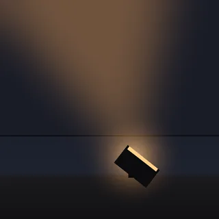 Flood Light