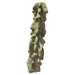 Totem Pole