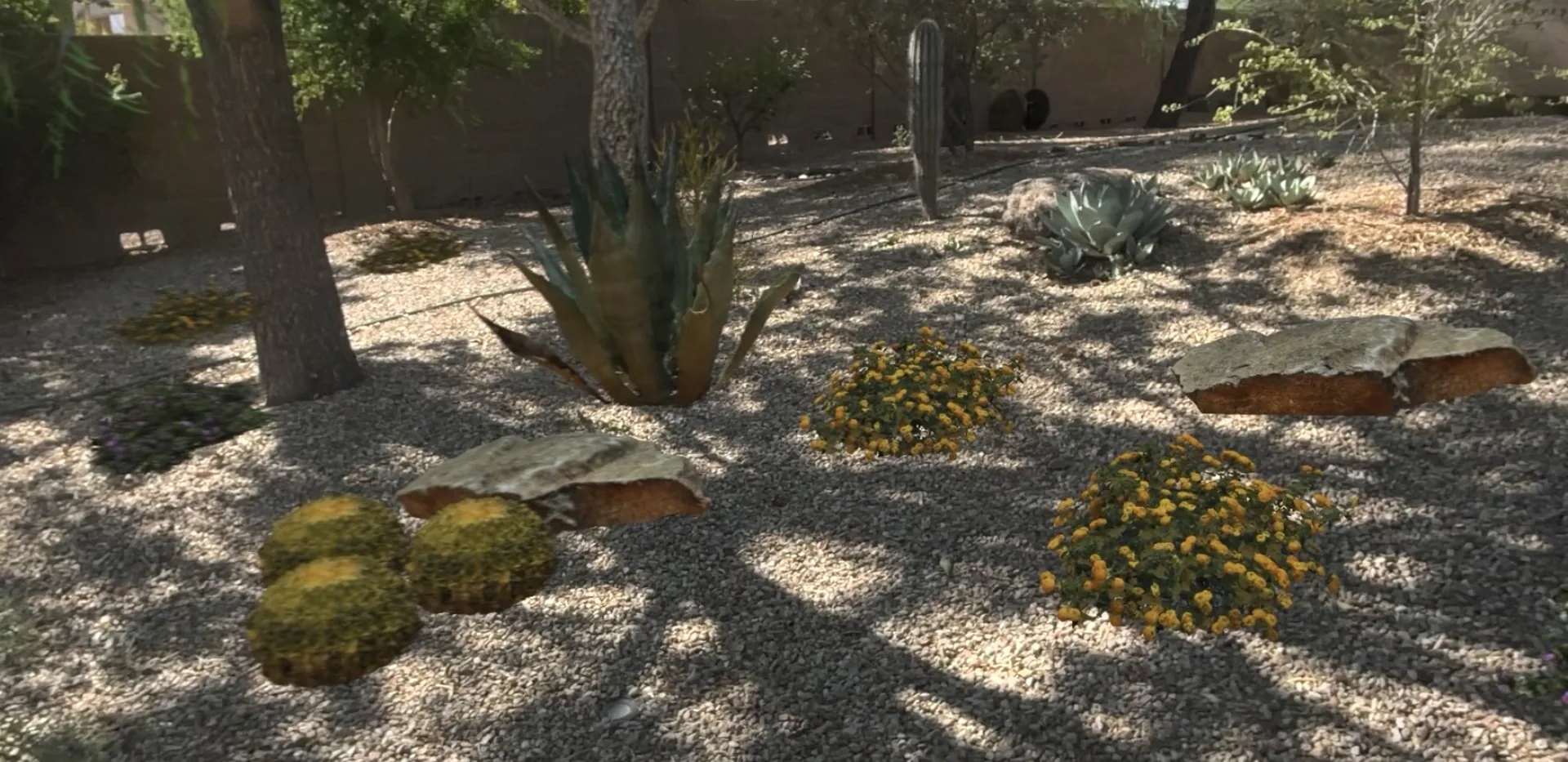 A desert backyard designed in Verde Vision, seen through Apple Vision Pro in daylight