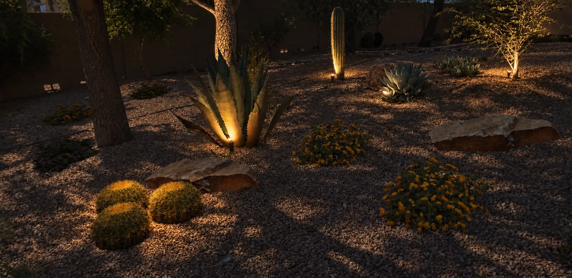 The same yard at night, the placed uplights and path lights on